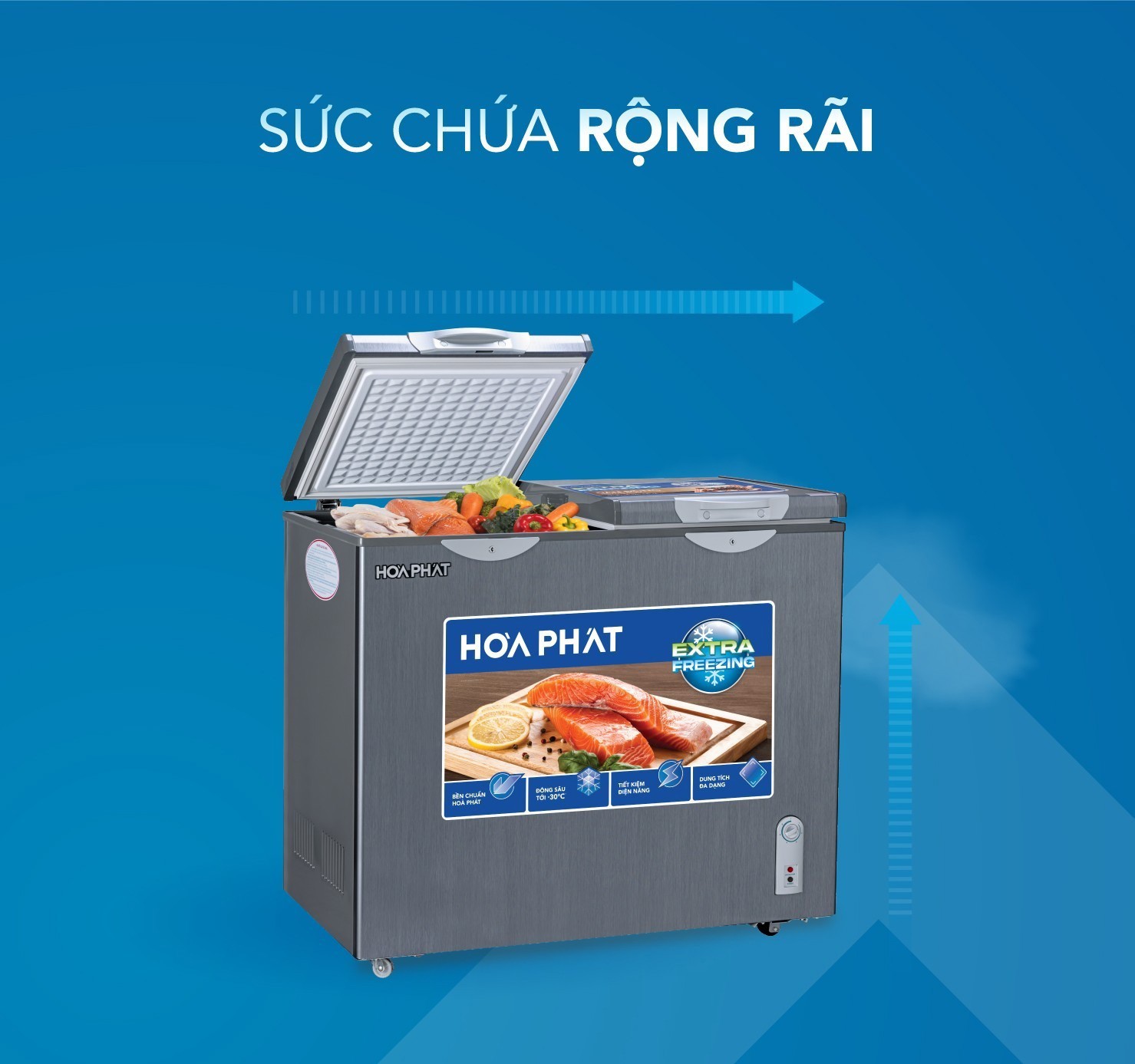 Tủ bảo quản 2 ngăn Hòa Phát 205 lít HPF- BD6205